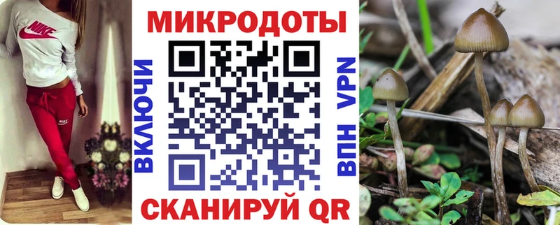 Псилоцибиновые грибы MAGIC MUSHROOMS наркотики Ленинск