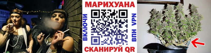 Каннабис сатива  купить закладку  Ленинск 